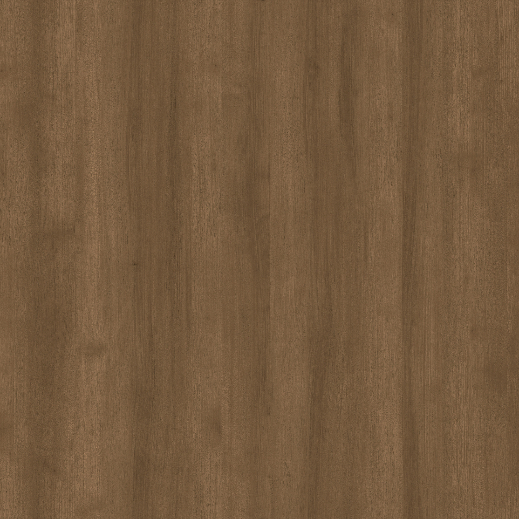 金色胡桃·門墻柜·